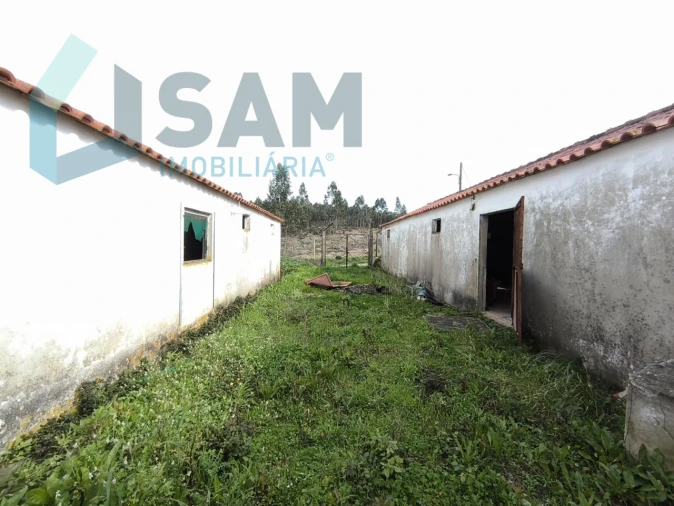 Terreno Misto para Venda em Ramalhal Foto 8