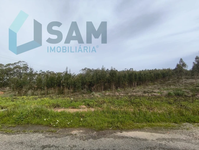 Terreno Misto para Venda em Ramalhal Foto 20