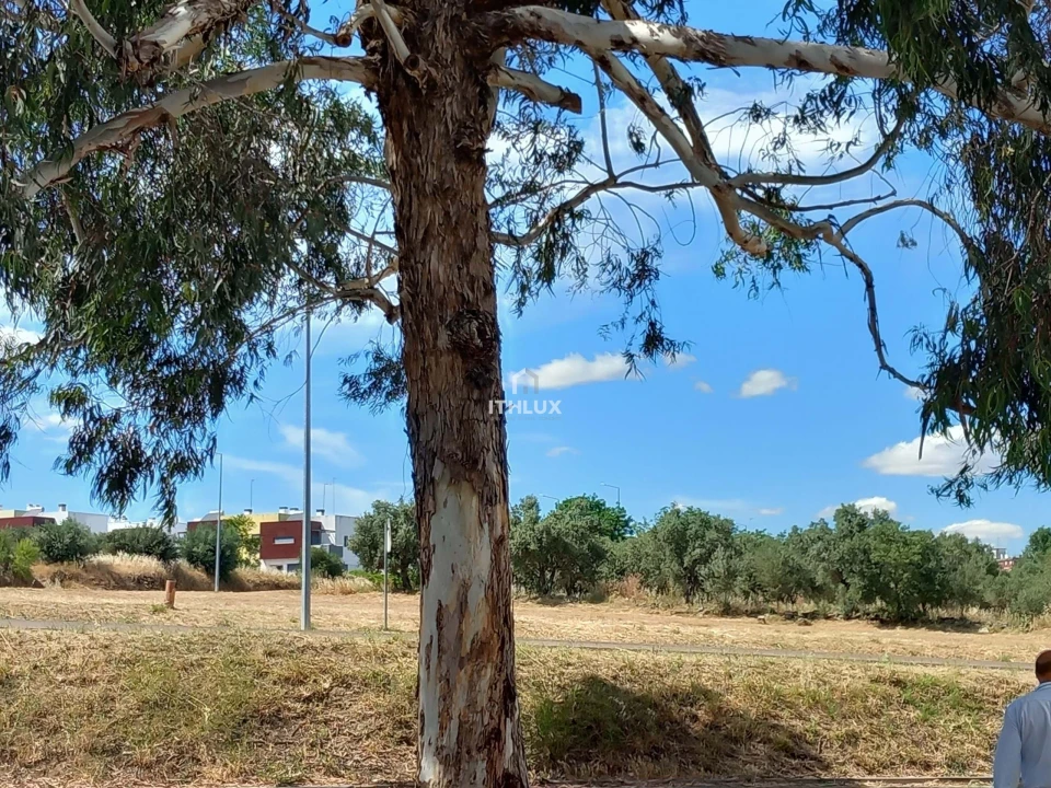 Terreno para Venda em Assunção, Ajuda, Salvador e Santo Ildefonso Foto 10