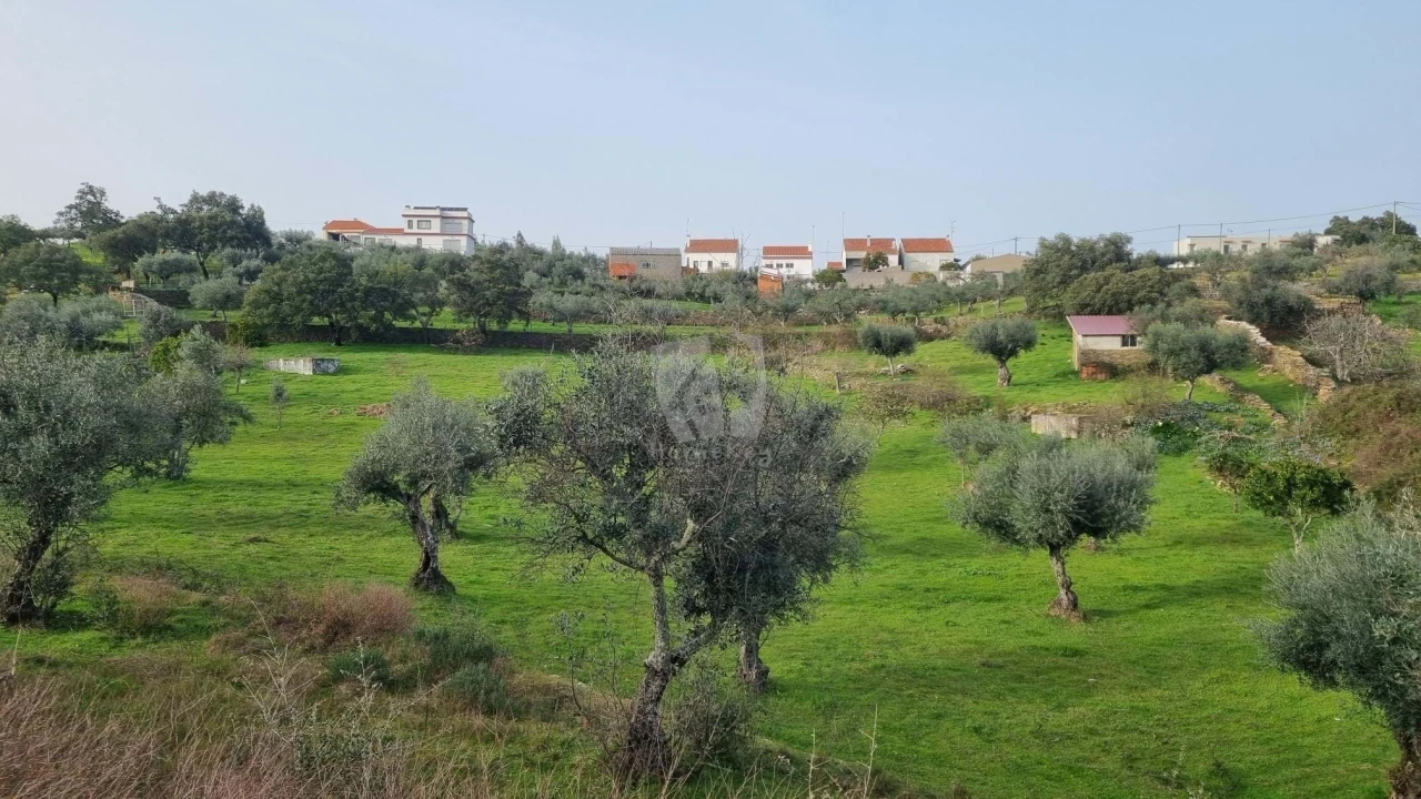 Terreno Agricola ou Rústico para Venda em Perais Foto 16