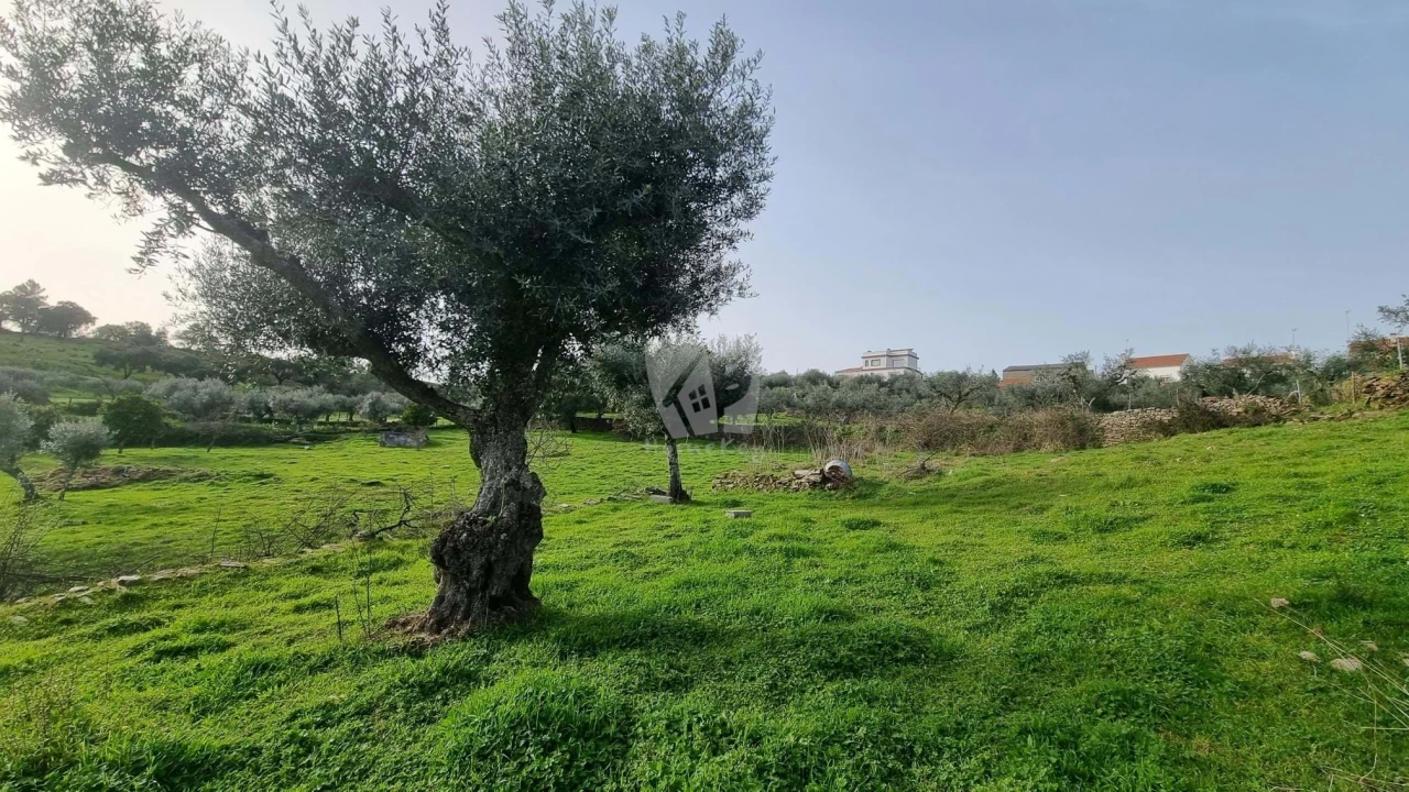 Terreno Agricola ou Rústico para Venda em Perais Foto 8