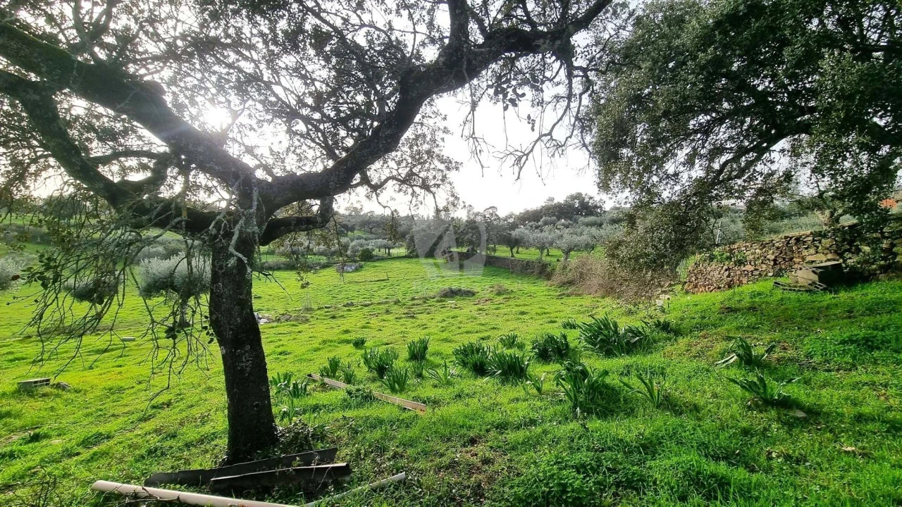 Terreno Agricola ou Rústico para Venda em Perais Foto 27