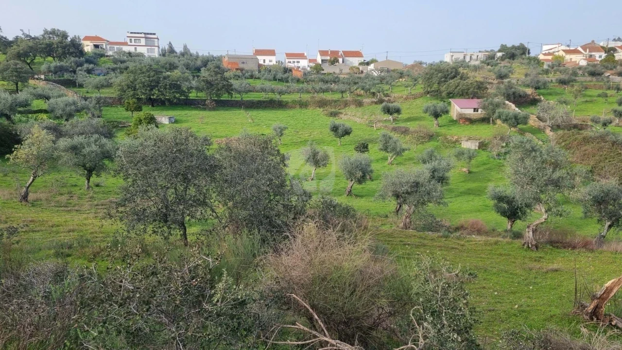 Terreno Agricola ou Rústico para Venda em Perais Foto 14