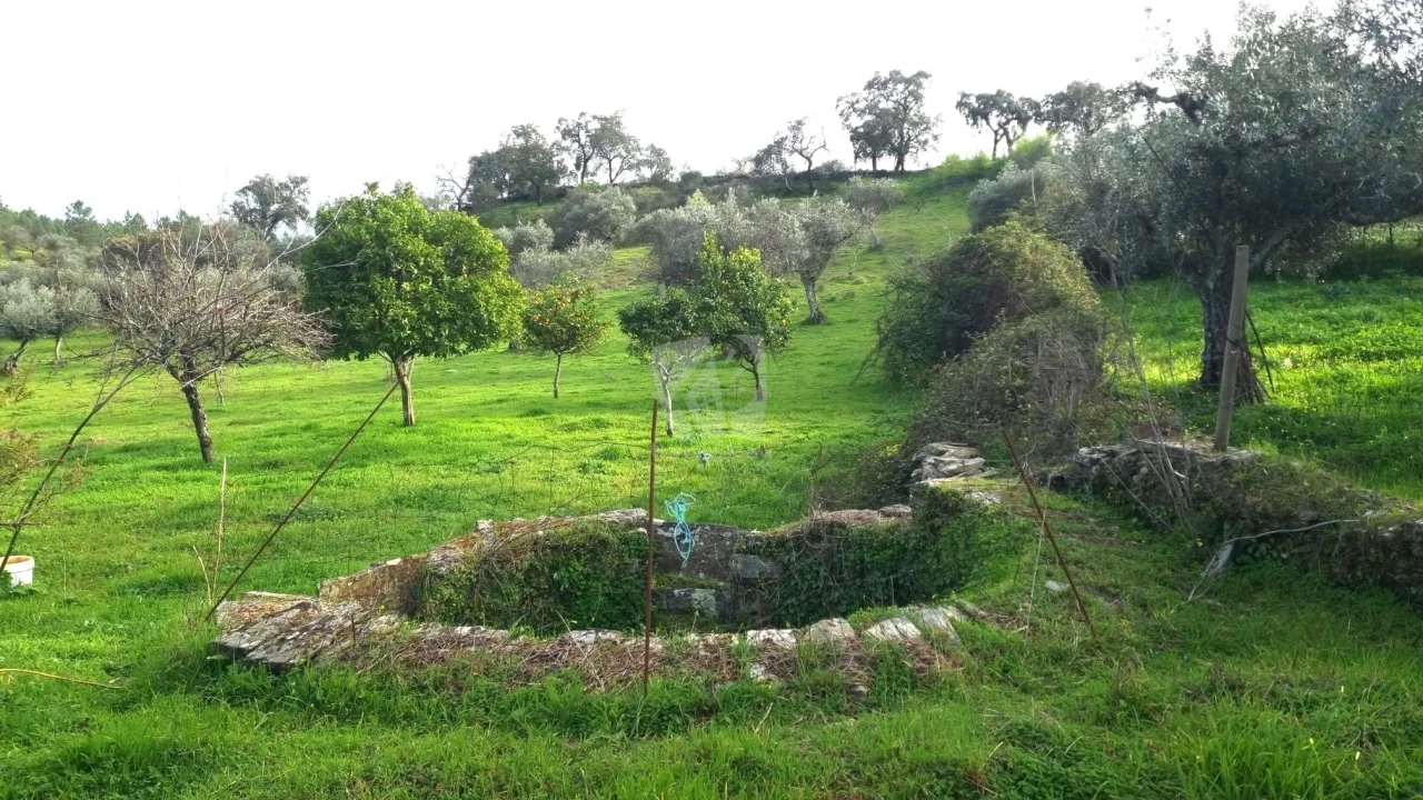 Terreno Agricola ou Rústico para Venda em Perais Foto 10
