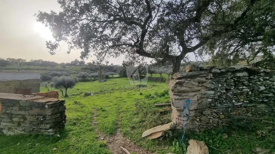 Terreno Agricola ou Rústico para Venda em Perais Foto 26