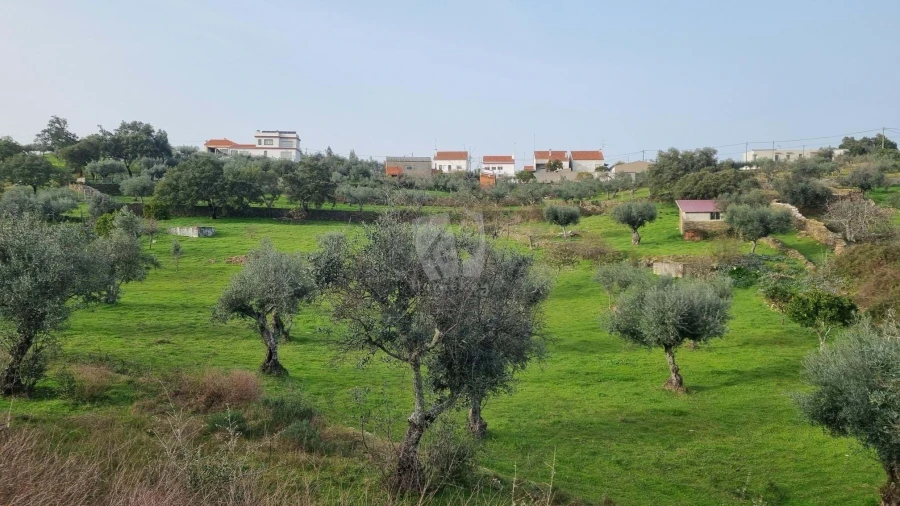 Terreno Agricola ou Rústico para Venda em Perais Foto 16