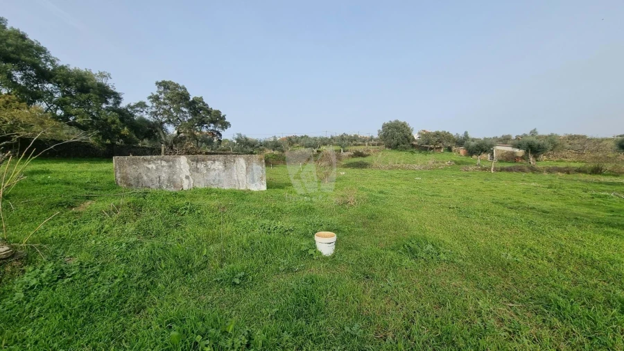 Terreno Agricola ou Rústico para Venda em Perais Foto 13