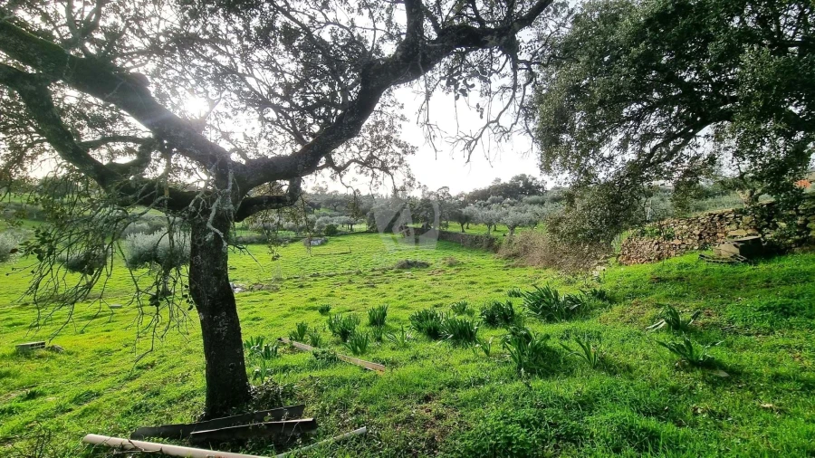 Terreno Agricola ou Rústico para Venda em Perais Foto 27