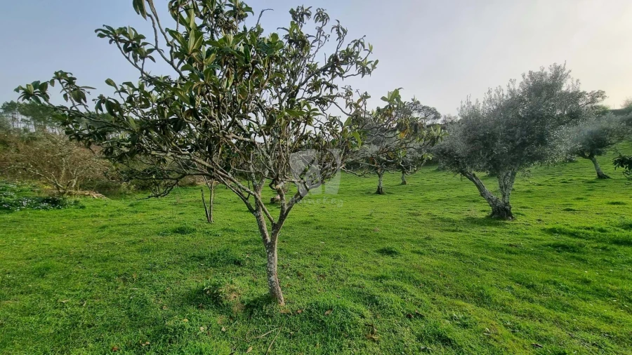 Terreno Agricola ou Rústico para Venda em Perais Foto 22