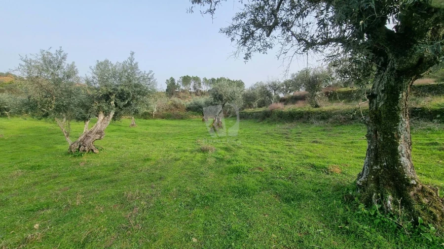 Terreno Agricola ou Rústico para Venda em Perais Foto 20