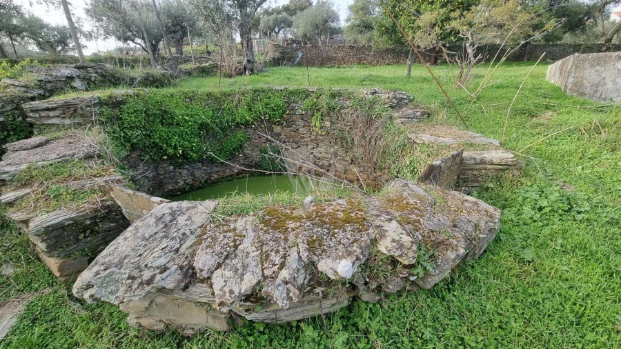 Terreno Agricola ou Rústico para Venda em Perais Foto 12