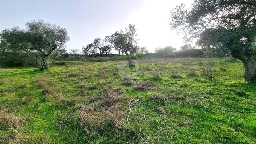 Terreno Agricola ou Rústico para Venda em Perais Foto 19