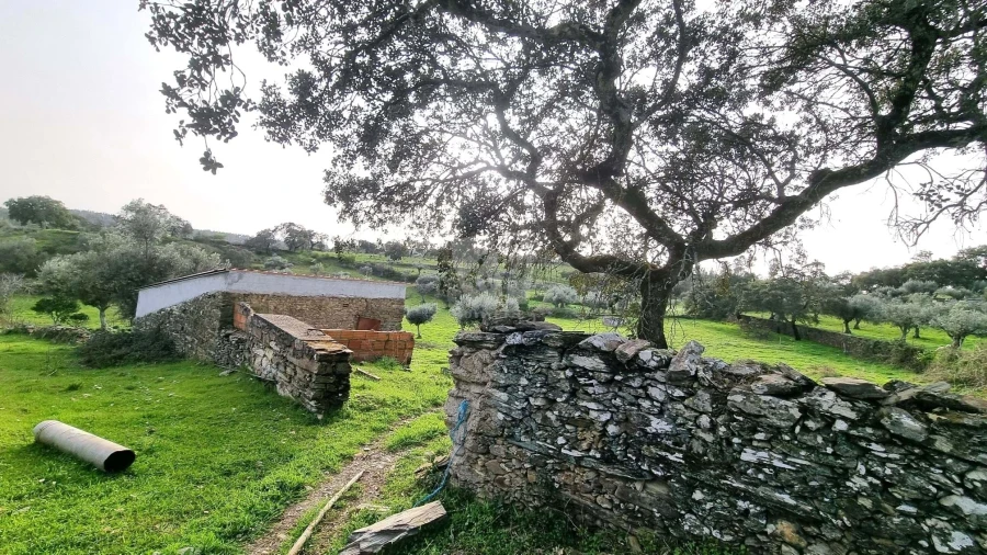 Terreno Agricola ou Rústico para Venda em Perais