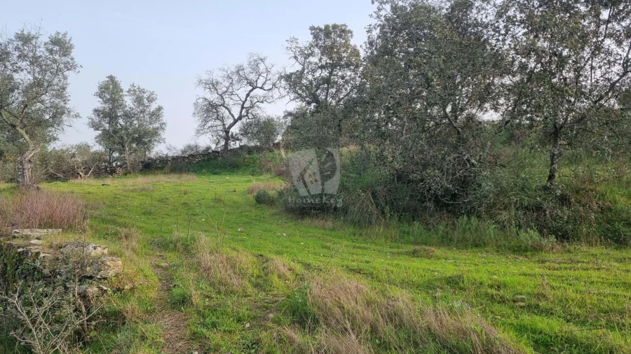Terreno Agricola ou Rústico para Venda em Perais Foto 17