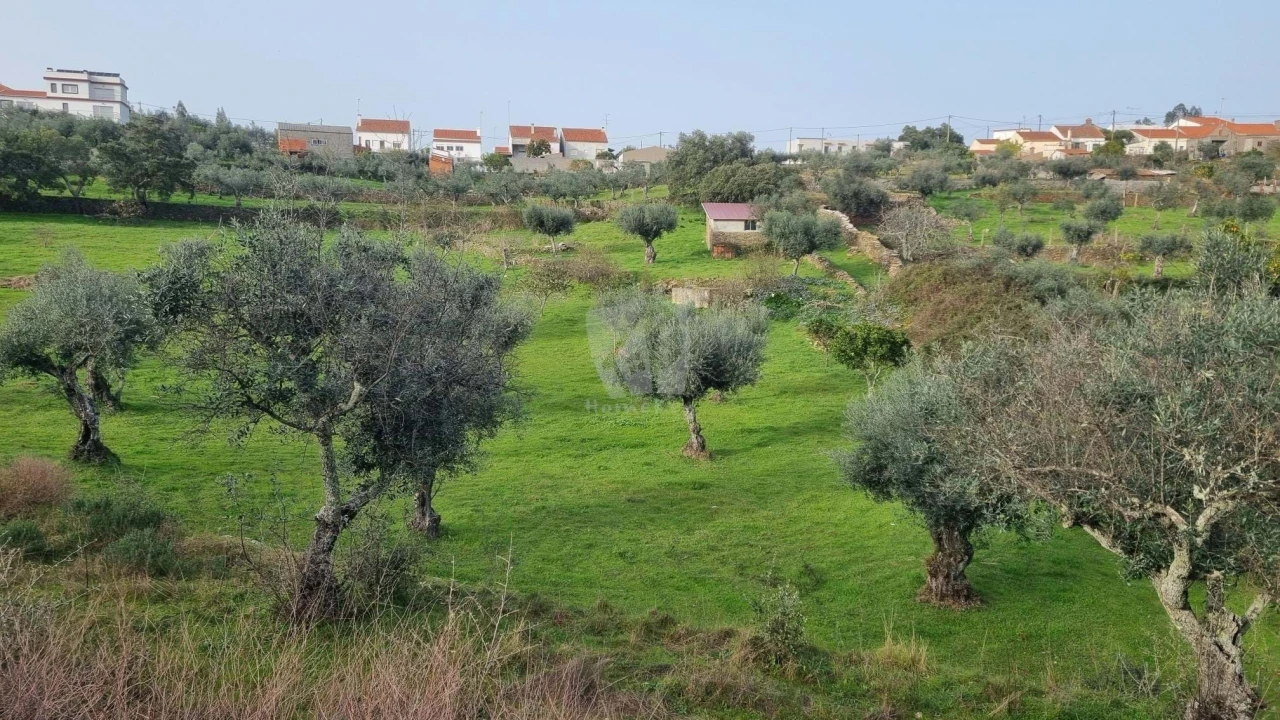 Terreno Agricola ou Rústico para Venda em Perais Foto 15