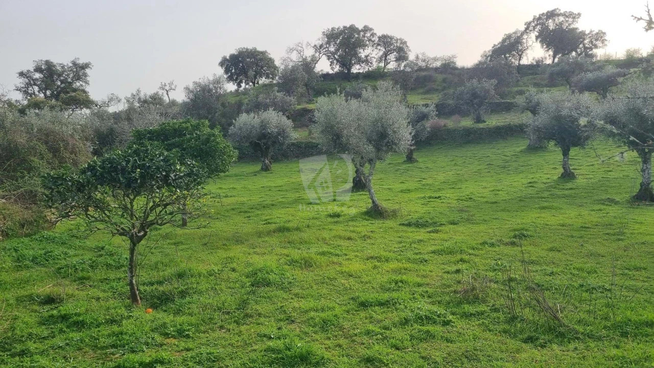 Terreno Agricola ou Rústico para Venda em Perais Foto 21