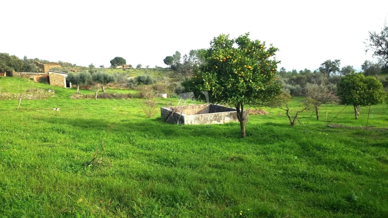 Terreno Agricola ou Rústico para Venda em Perais Foto 7