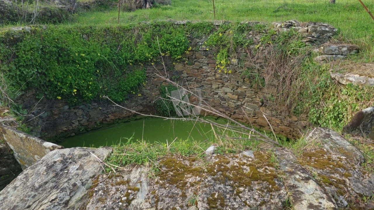 Terreno Agricola ou Rústico para Venda em Perais Foto 11