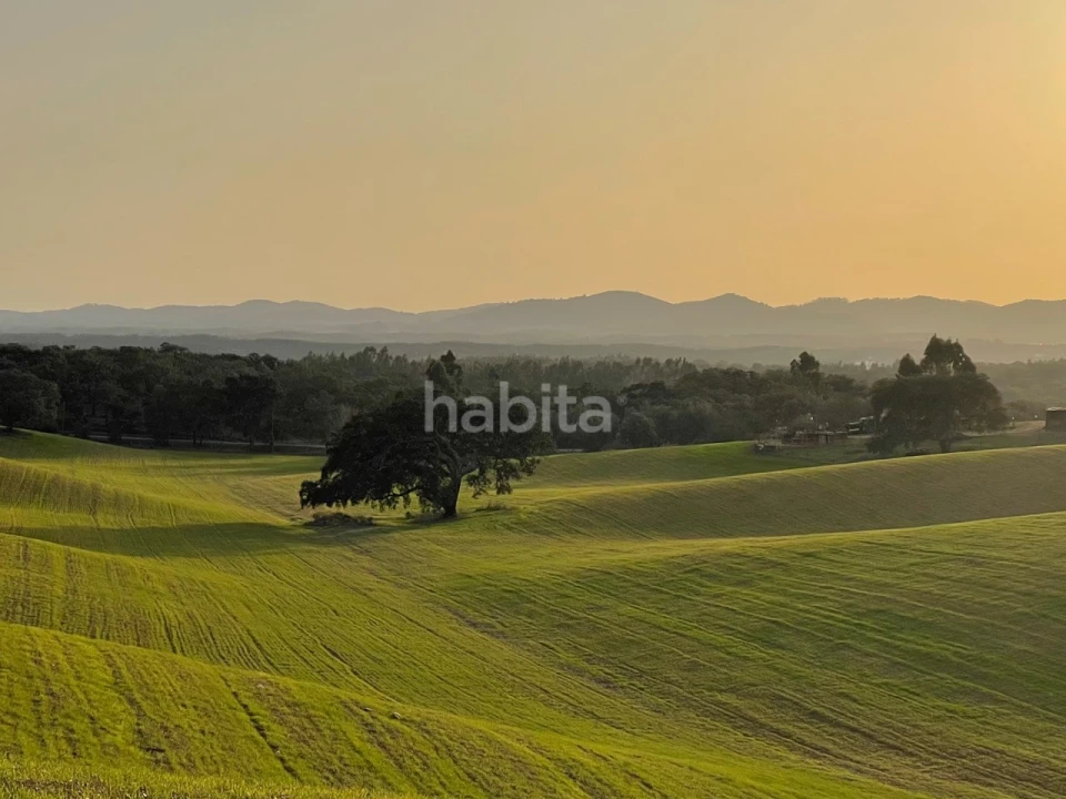 Terreno Agricola ou Rústico para Venda em São Domingos e Vale de Água Foto 13