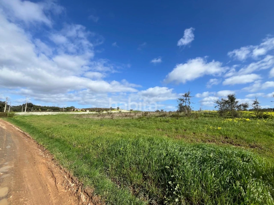Terreno Agricola ou Rústico para Venda em São Domingos e Vale de Água Foto 3