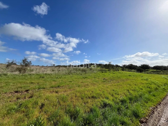 Terreno Agricola ou Rústico para Venda em São Domingos e Vale de Água Foto 9
