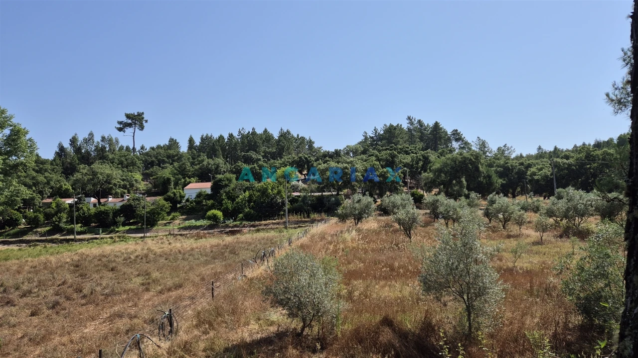 Terreno para Venda em Bemposta Foto 9