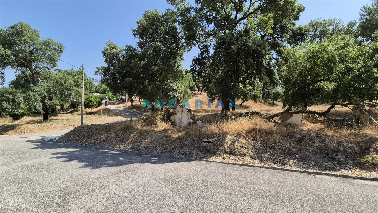 Terreno para Venda em Bemposta Foto 2