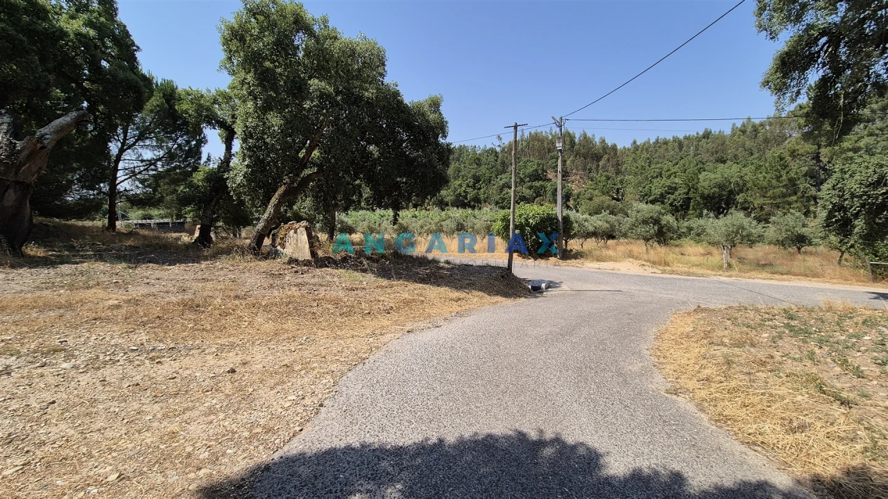 Terreno para Venda em Bemposta Foto 4