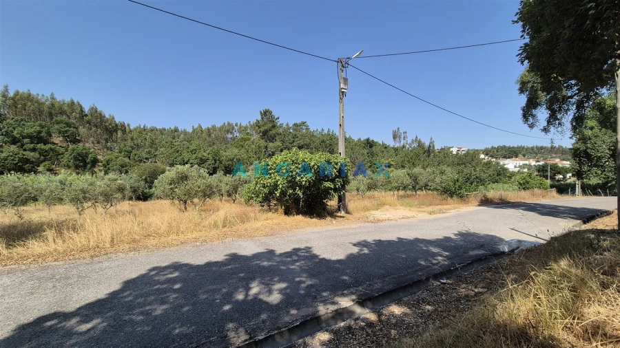Terreno para Venda em Bemposta Foto 7