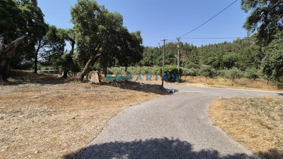 Terreno para Venda em Bemposta Foto 4