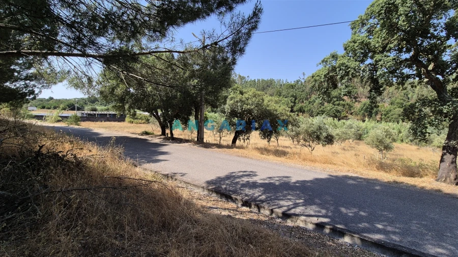 Terreno para Venda em Bemposta Foto 6