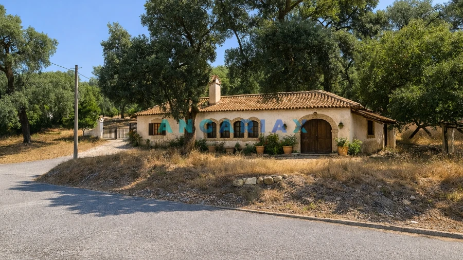 Terreno para Venda em Bemposta