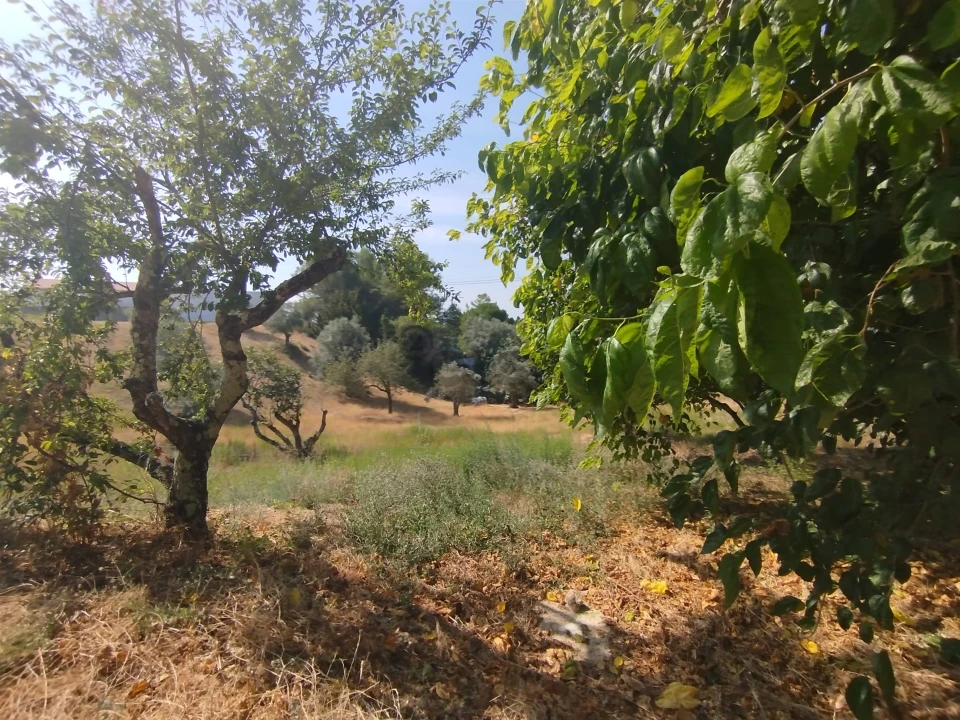 Moradia T5 para Venda em Madalena e Beselga Foto 37