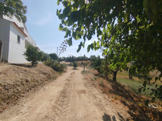 Moradia T5 para Venda em Madalena e Beselga Foto 38