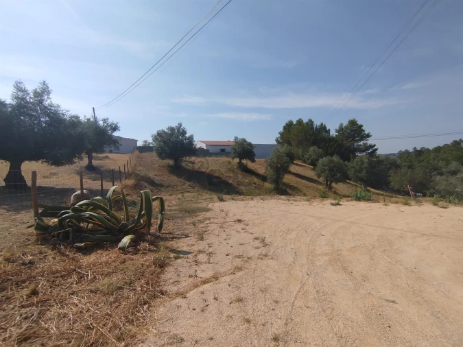 Moradia T5 para Venda em Madalena e Beselga Foto 41