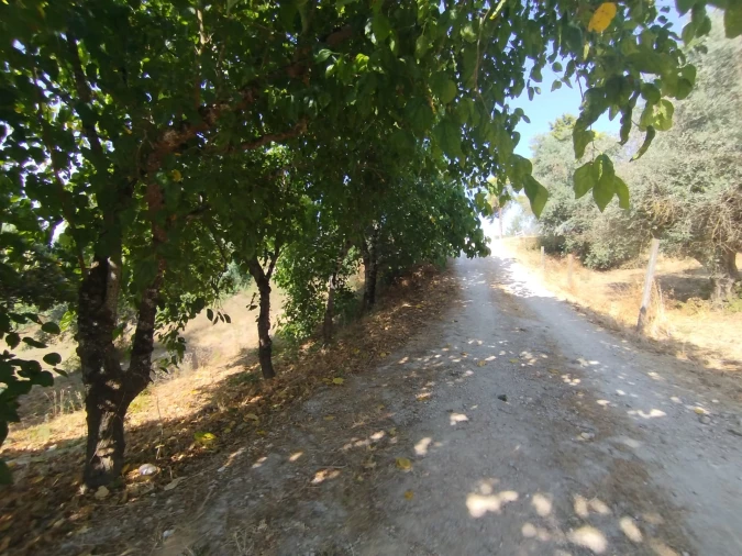 Moradia T5 para Venda em Madalena e Beselga Foto 40