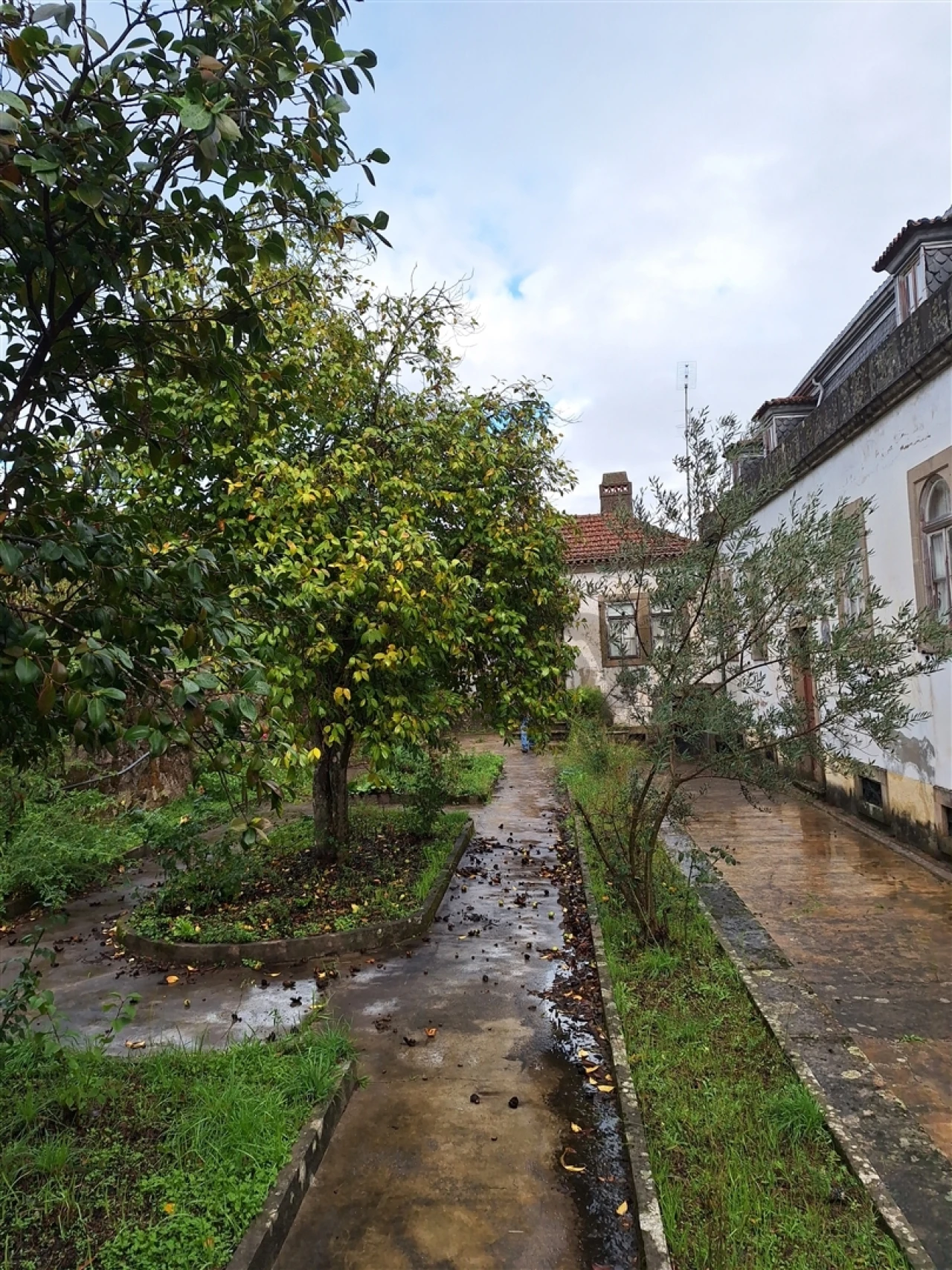 Moradia T0 para Venda em Tortosendo Foto 33