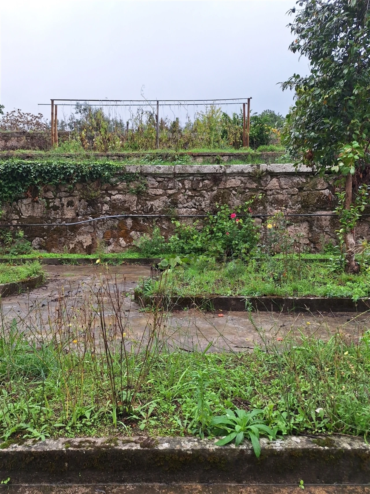 Moradia T0 para Venda em Tortosendo Foto 37