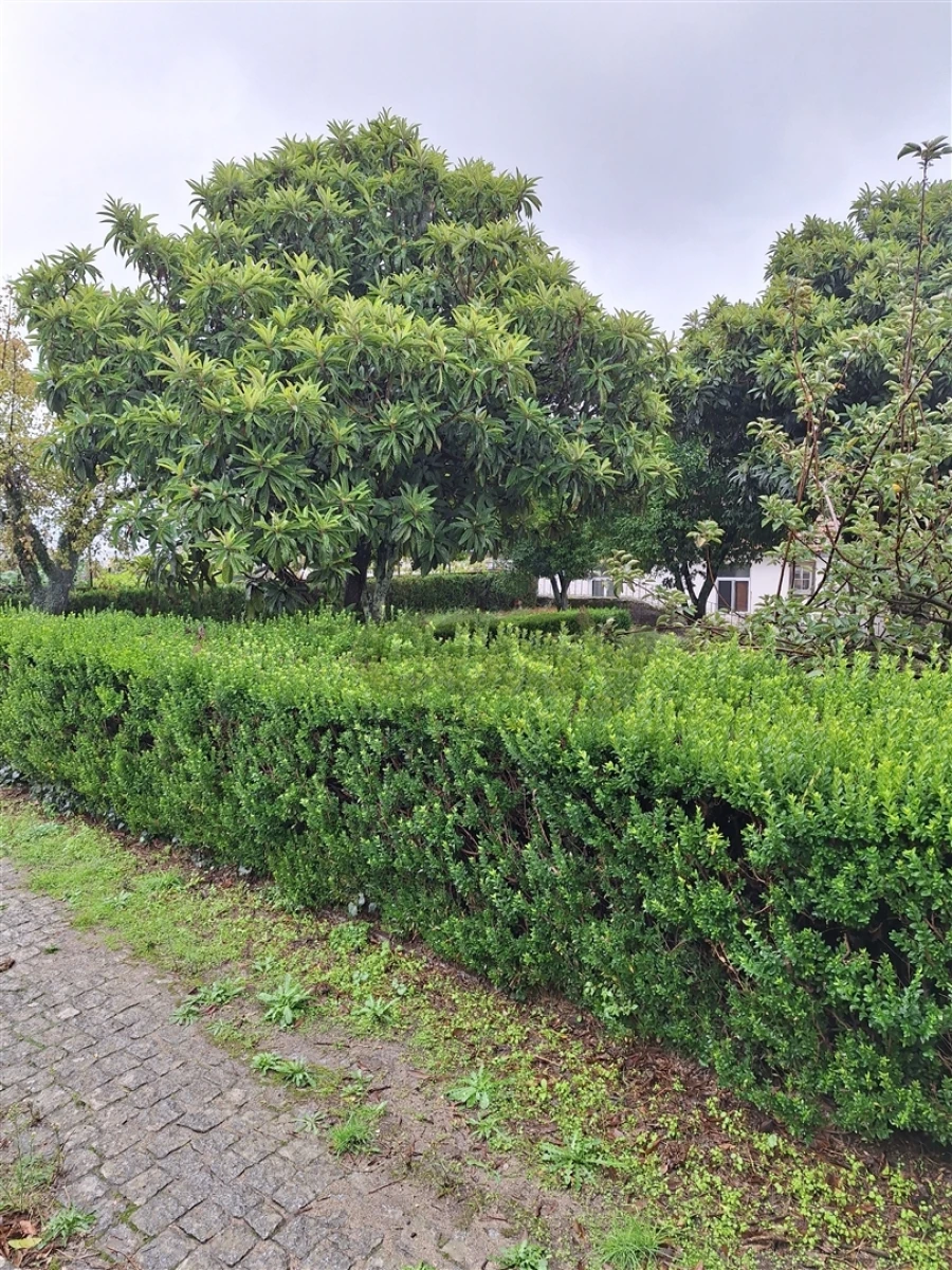 Moradia T0 para Venda em Tortosendo Foto 40