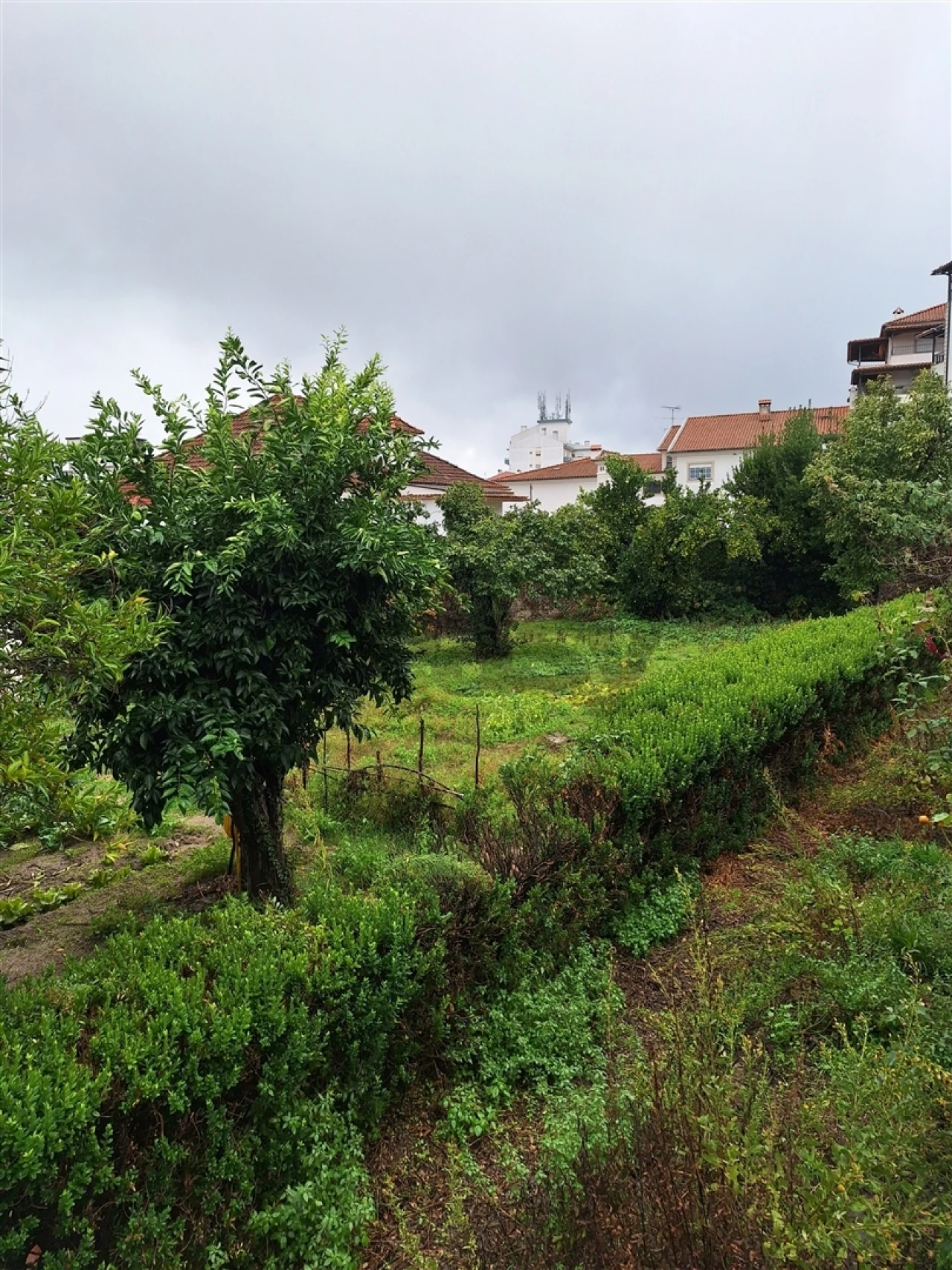 Moradia T0 para Venda em Tortosendo Foto 39