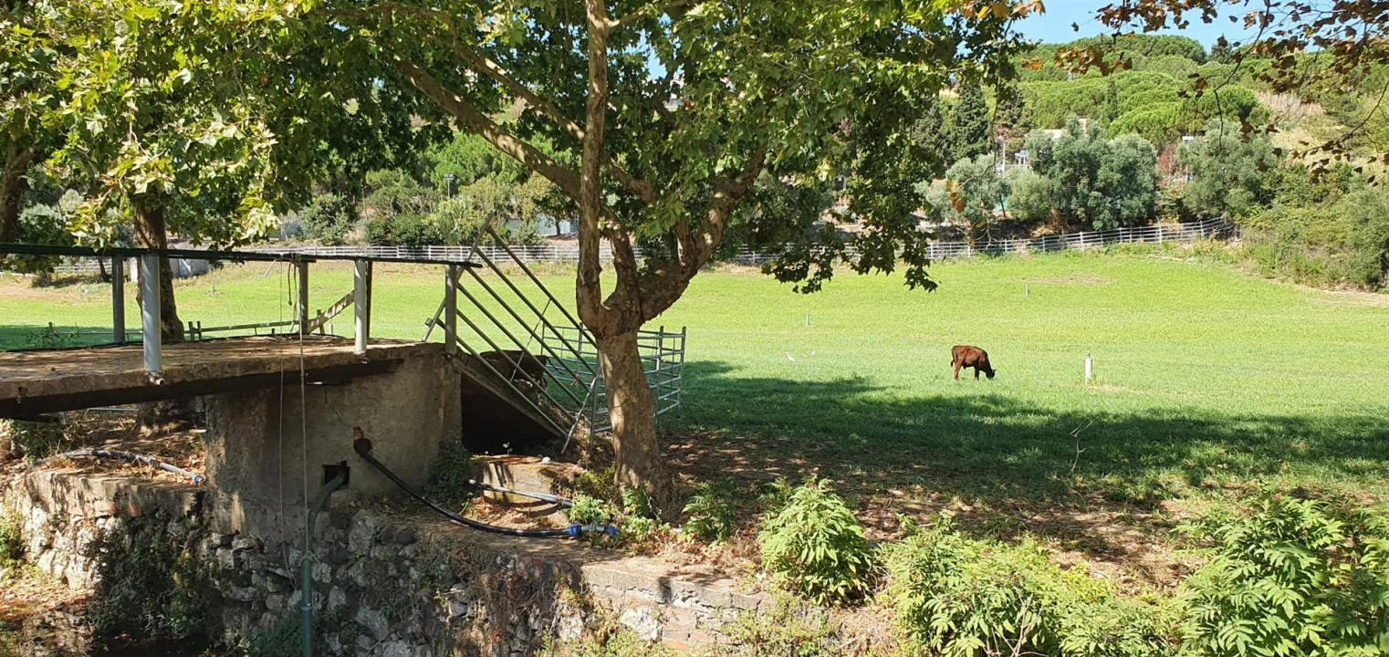 Terreno para Venda em Barcarena Foto 1