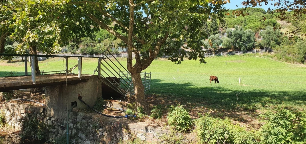 Terreno para Venda em Barcarena
