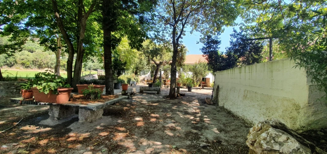 Terreno para Venda em Barcarena Foto 8