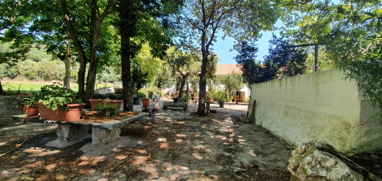 Terreno para Venda em Barcarena Foto 8