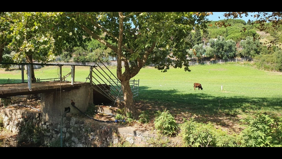 Terreno para Venda em Barcarena