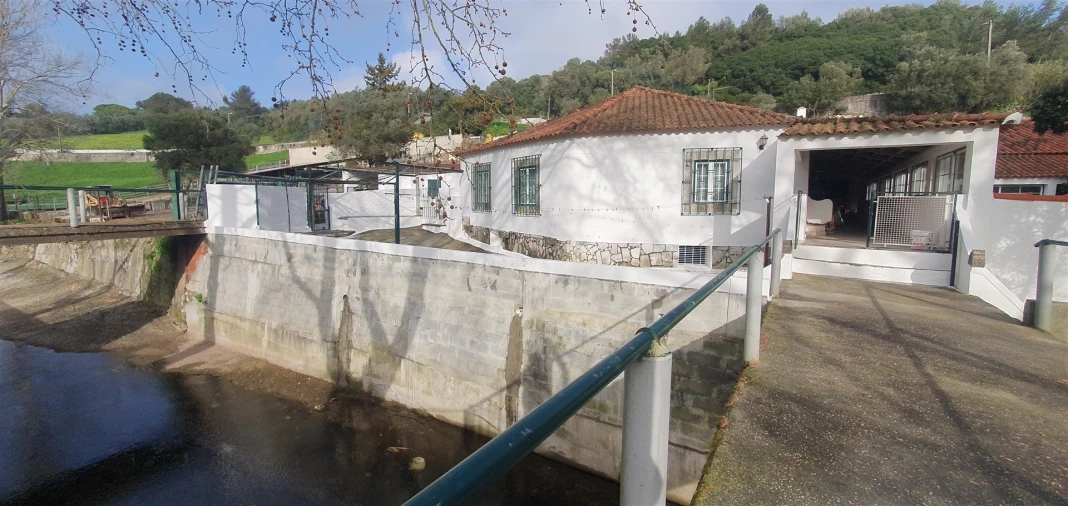 Terreno para Arrendamento em Barcarena Foto 9