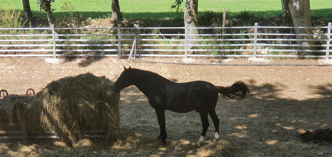 Terreno para Arrendamento em Barcarena Foto 22