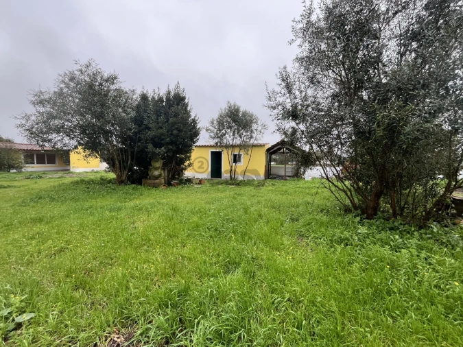 Moradia T3 para Venda em Glória do Ribatejo e Granho Foto 3