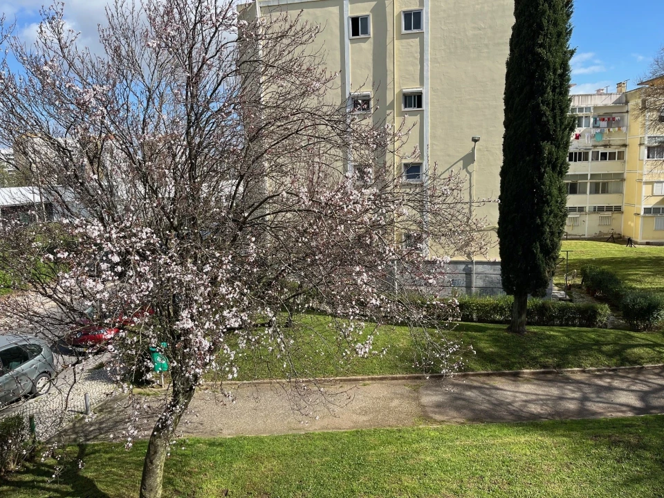 Apartamento T2 para Venda em Águas Livres Foto 1