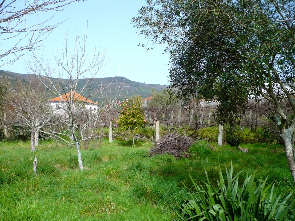 Moradia T3 para Venda em Covas Foto 27